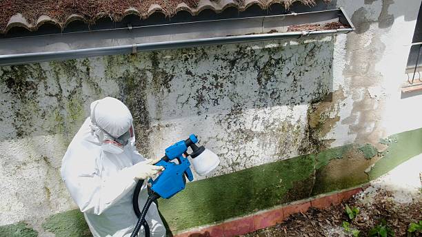 Trusted Crawl Space Mold Removal service in Colonia, NJ - Cheap Mold Removal